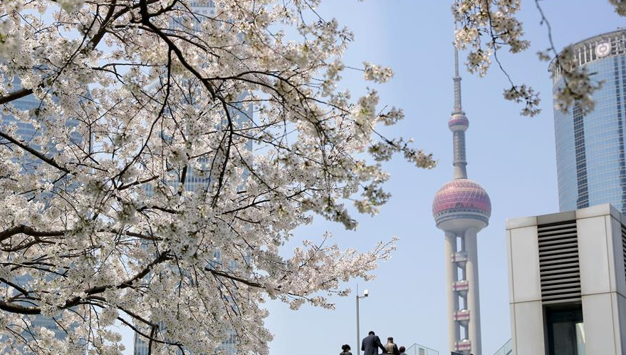 QQ图片20190402093534.png