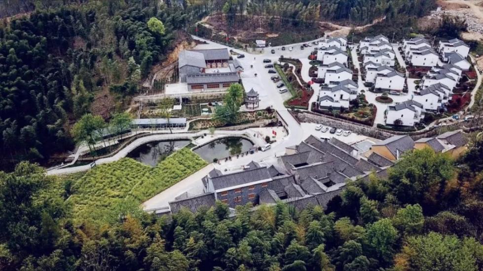 莫负皋城好春光旅游精品线路来啦！