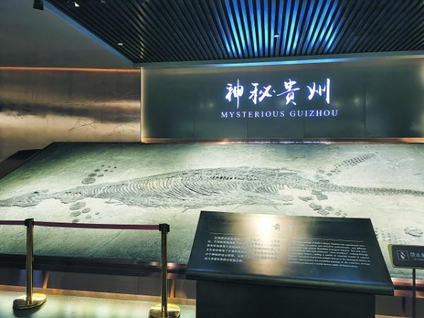 (中首)贵州省地质博物馆—— 承载地质文明 讲述远古贵州