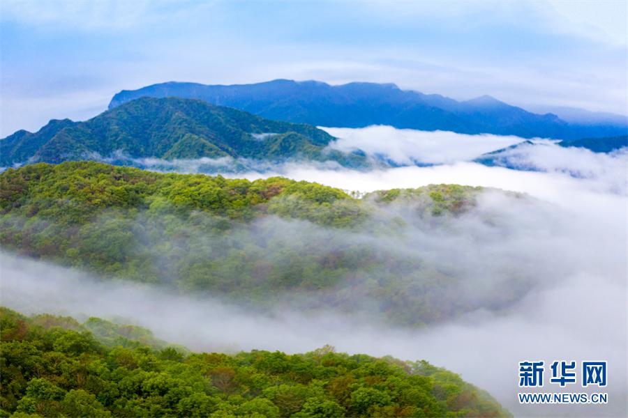 览“华中屋脊” 看云卷云舒