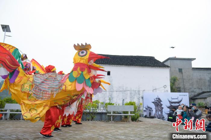 摄影爱好者在拍摄非遗民俗表演活动斗鸡。　张娅子 摄
