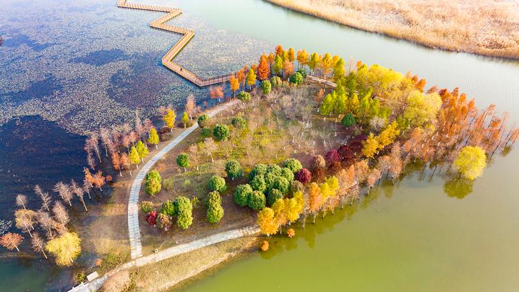 美丽江苏·每日一景丨东海西双湖：斑斓冬景生态美