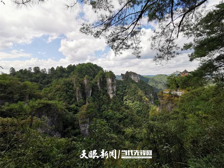 （中首）贵州持续打造国家级“生态名片” 饱蘸绿意绘山河