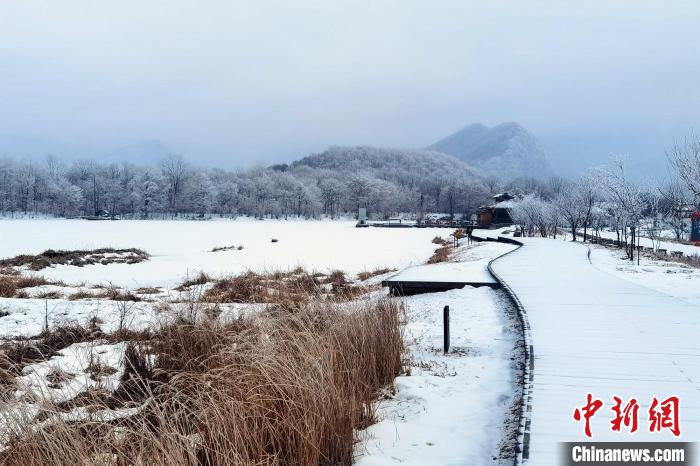 大九湖国家湿地公园白雪苍茫。　王力 摄