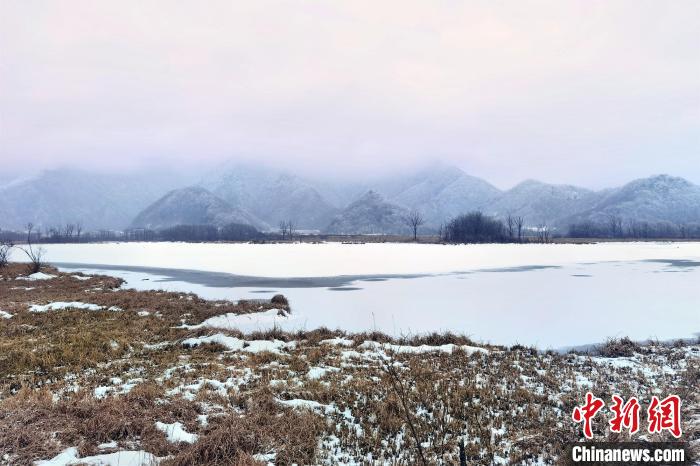 大九湖国家湿地公园白雪苍茫。　王力 摄