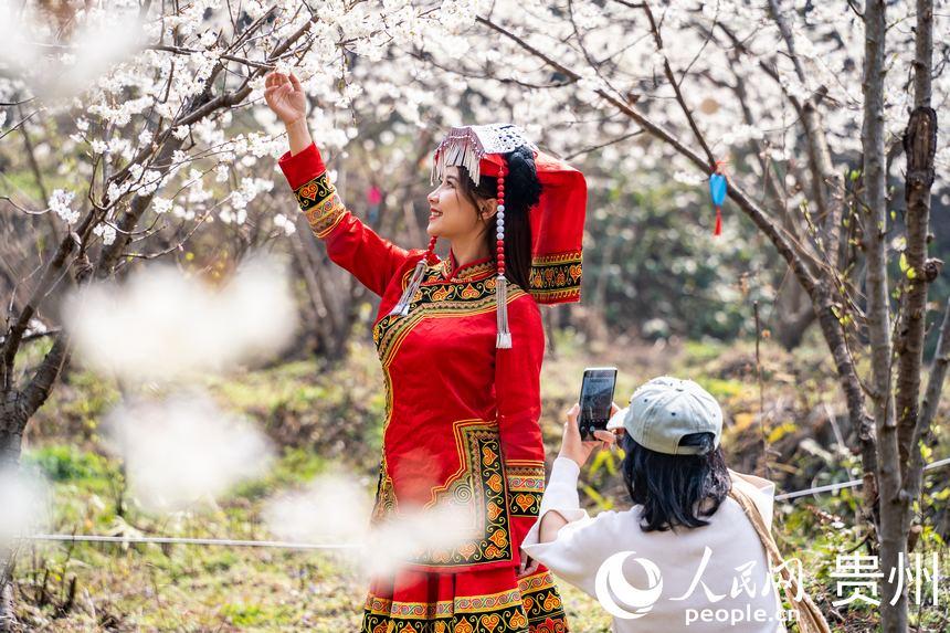 身穿民族服装的游客在“樱桃花海”内游玩。人民网 涂敏摄