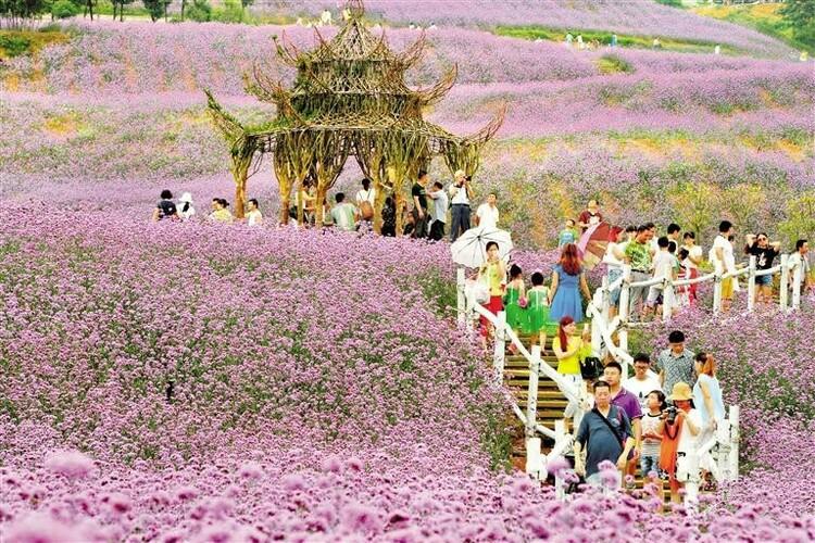 贵州：陌上花开缓缓归_fororder_2
