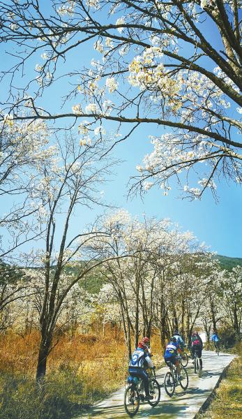 （中首）安宁河谷平原 崇山峻岭间藏着的“袖珍天府”