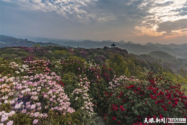貴州:研學(xué)旅行拓寬旅游發(fā)展空間