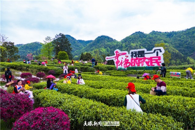 貴州:研學(xué)旅行拓寬旅游發(fā)展空間