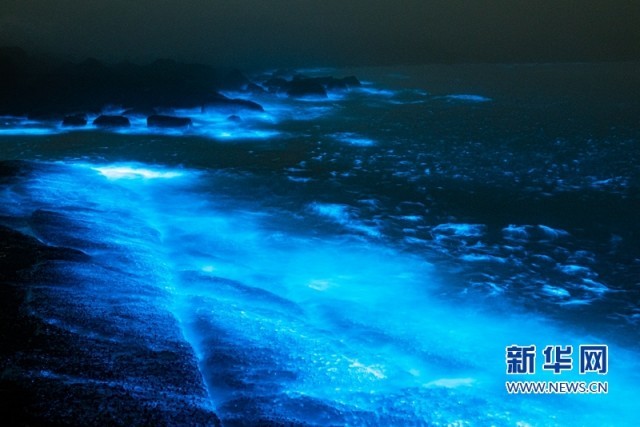 福建平潭：燦若星河 “藍(lán)眼淚”踏浪而來_fororder_1128555578_16498181676941n