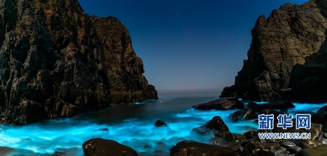 福建平潭：燦若星河 “藍(lán)眼淚”踏浪而來_fororder_1128555578_16498181677741n