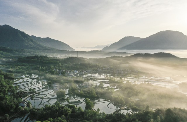 薄雾笼罩下的梯田。江建兴摄