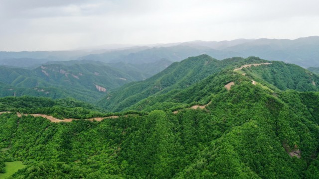 这是6月7日拍摄的关山林场美景（无人机照片）。