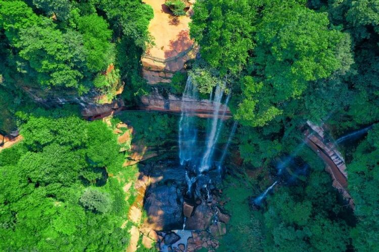 （中首）生态贵州丨丹霞、瀑布、桫椤、竹海 在赤水看亿万年的时光