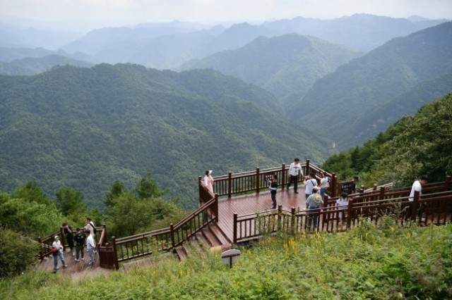 7月30日，游客在留壩縣紫柏山國(guó)家森林公園內(nèi)游覽。