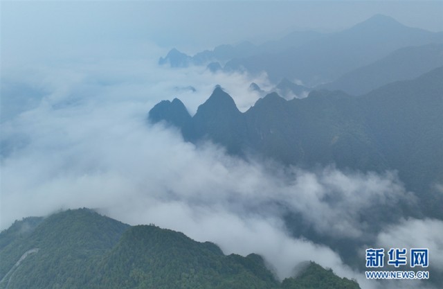 湖北鹤峰：云海升腾天泉山