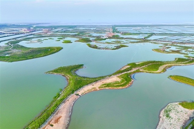 江苏连云港：白鹭湿地公园风景有人心旷神怡