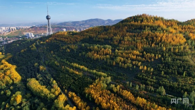 高原古城西宁天高云淡金秋十月地处处秋景如画