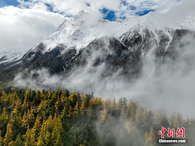 西藏多雄拉雪山，雪山层林尽染的森林构成了壮美的秋日高原画卷