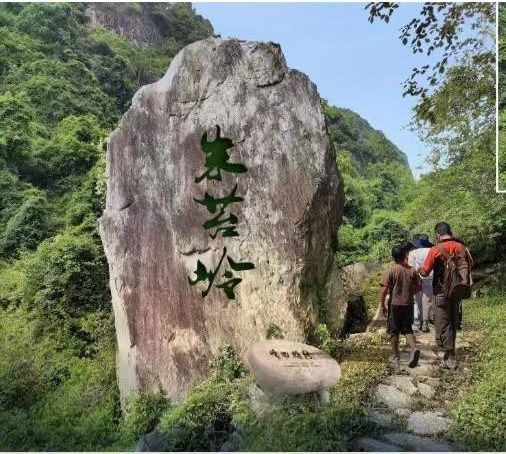 朱苔岭古道“微改造、精益求精”，打造瓯江山水诗路乐清古道示范路