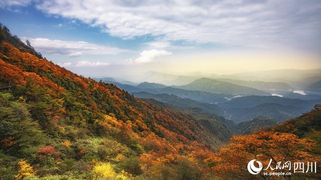 四川洪雅层林尽染深秋瓦屋美景如一幅山水画卷