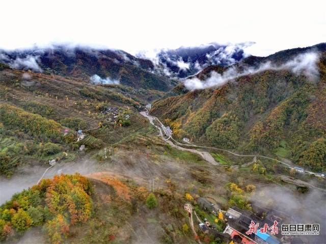 陇南市武都区裕河镇的山村秋叶树树黄 薄雾依山峦