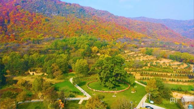 甘肃省崇信县唐帽山 彩叶满山，秋景美如画