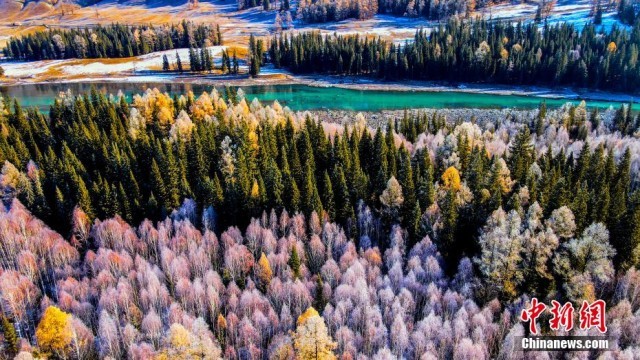 新疆北部阿勒泰山深处的喀纳斯景区降雪酷似“水墨画”