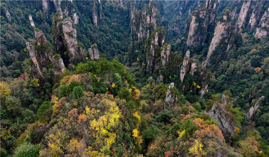 湖南张家界武陵源：彩斑斓的秋色美景，令人赏心悦目