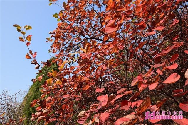 风景灿烂的曲阜市九仙山  随着季节变化十分美丽壮观