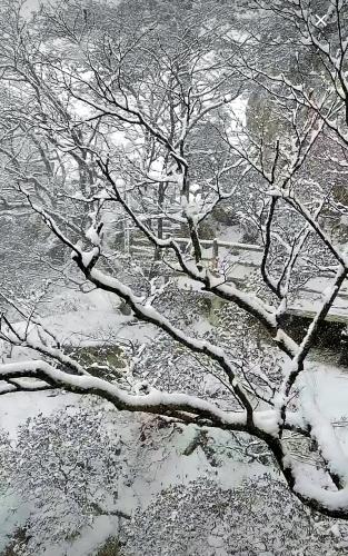 河南鲁山：初雪下在尧山 银装素裹犹如泼墨山水画