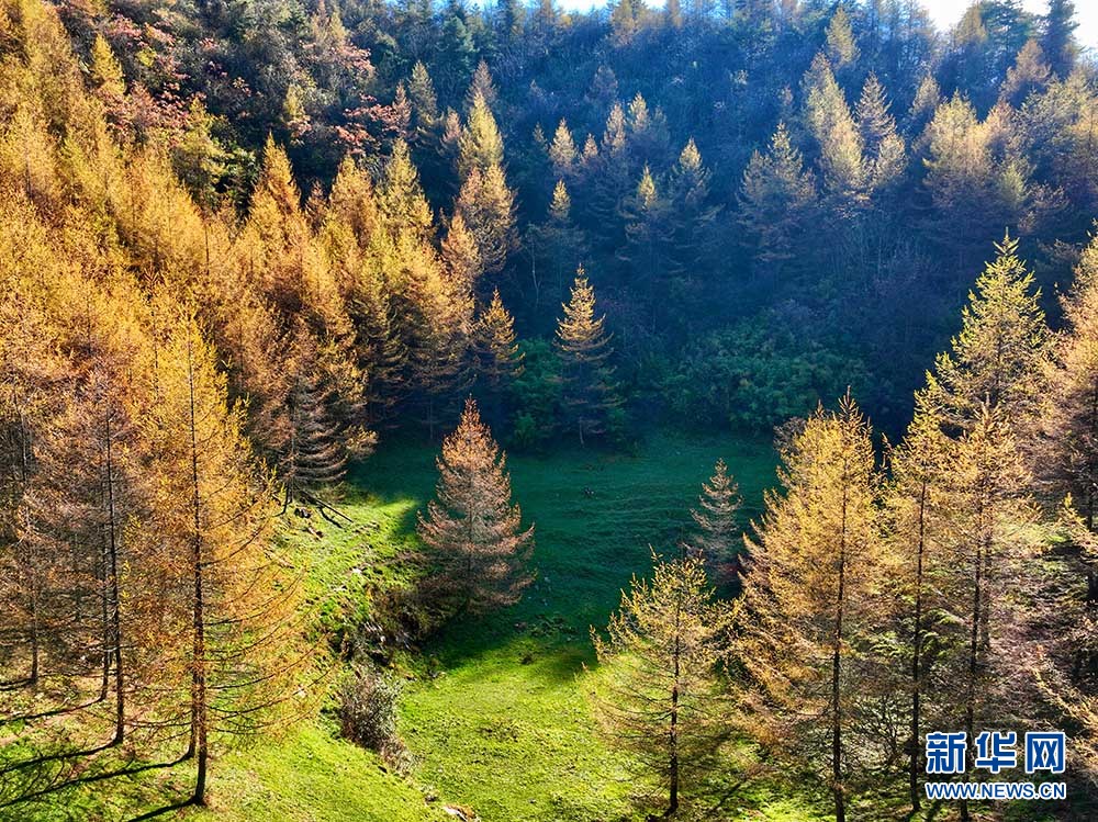 恩施市板桥镇大山顶秋景,一幅幅色彩斑斓的高山画卷