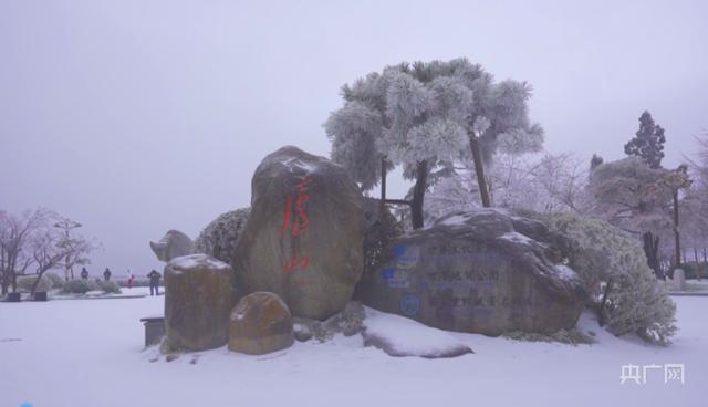 雪后庐山，猴趣雪趣悦人心  冰雕玉砌，美景如画