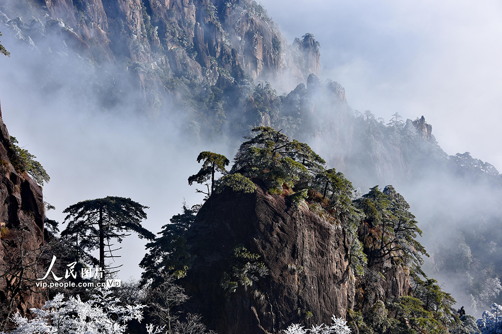 安徽：雪后黄山景迷人