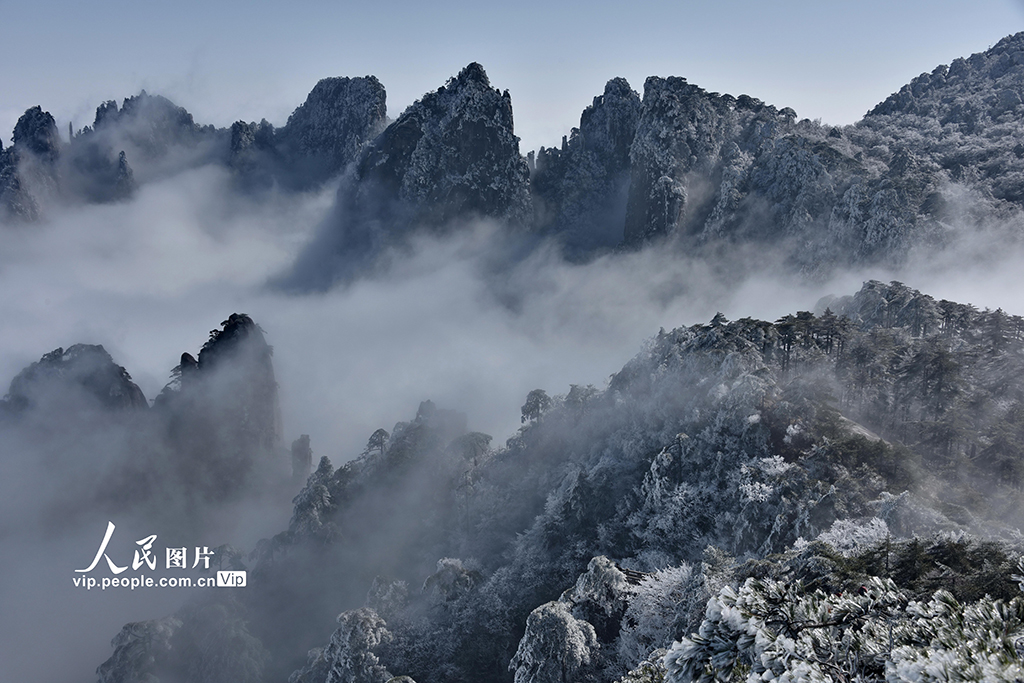 安徽：雪后黄山景迷人【3】