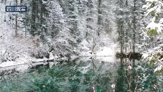 松潘古城二道海景区，雪花似鹅毛飘舞，将整个景区妆点成童话世界