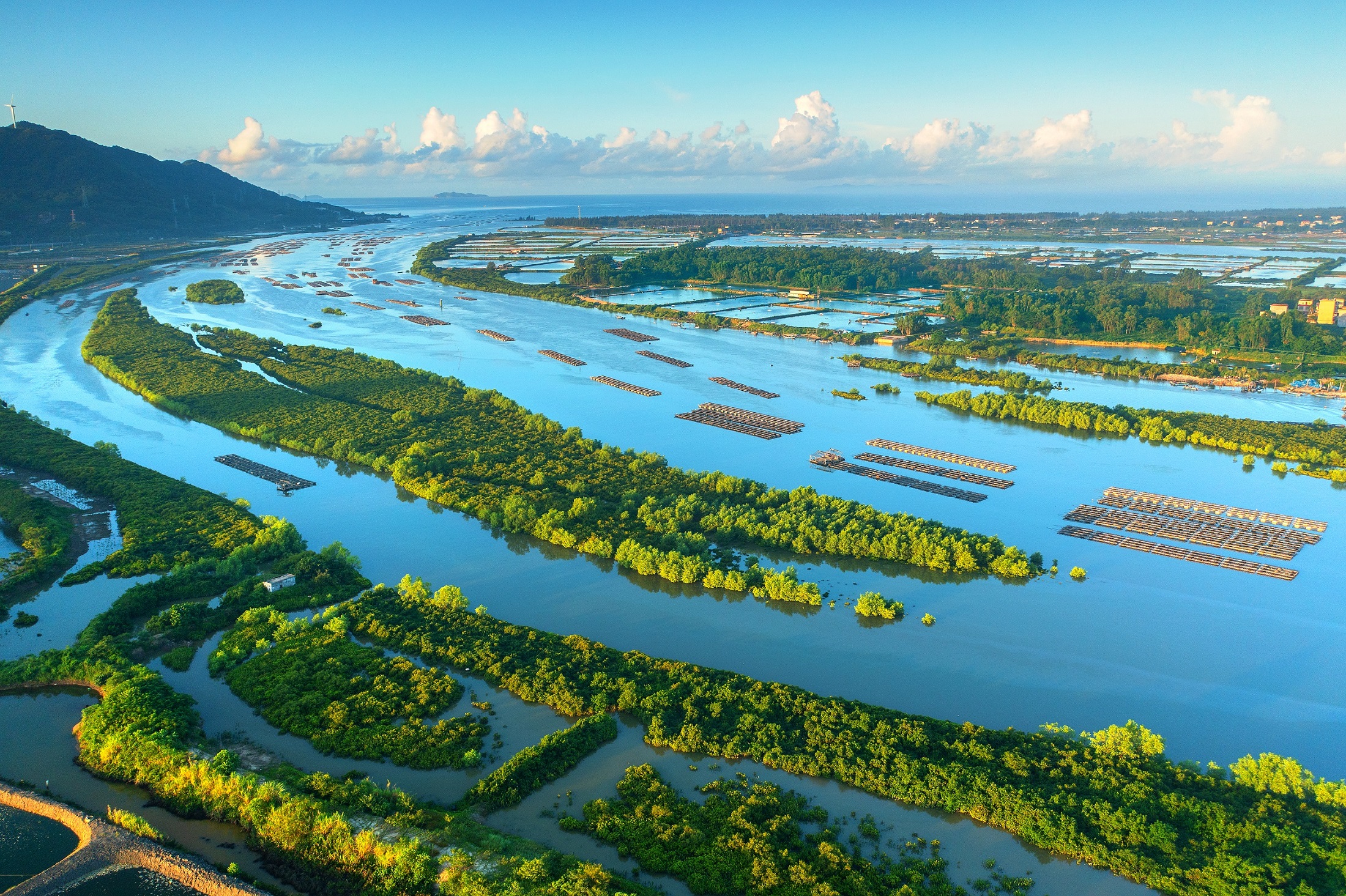 广东阳东寿长河国家湿地公园。供图：广东省林业局