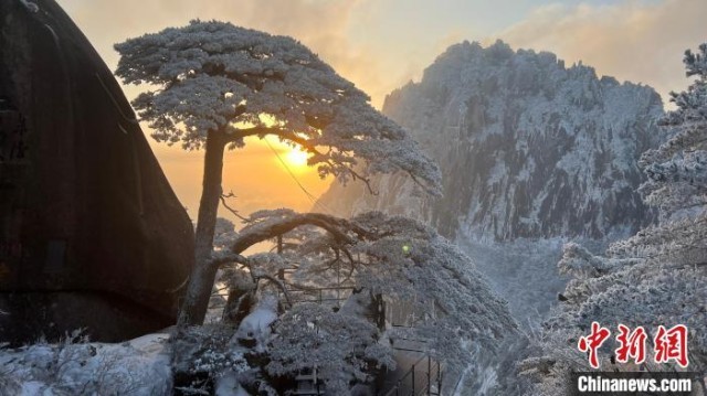 安徽黄山雪后风光圈粉3.4万游客