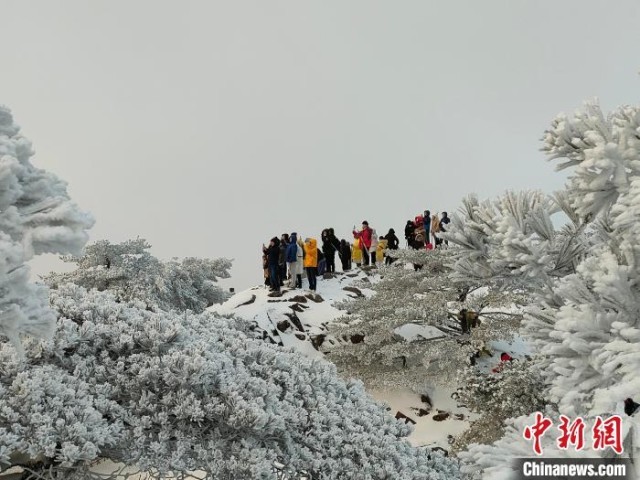 游客漫步雪后黄山，宛若画中游 汪新平 摄