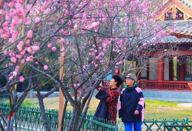 河南开封：游大宋御河 赏春日美景