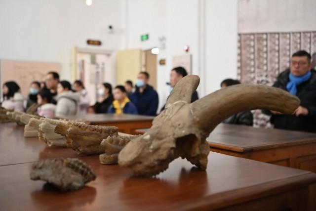 1月27日,游客在北疆博物院内参观。