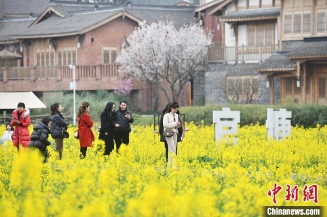 成都官塘新村春色如画川西林盘风貌吸引游客