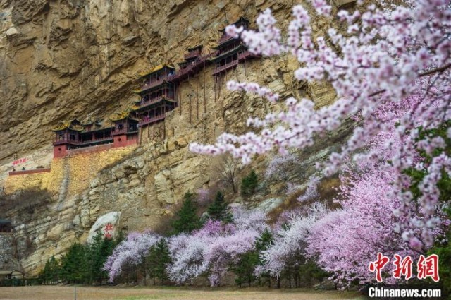 悬空寺下桃花开春意浓