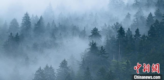 秋雨初歇兴隆山雄伟中增添神秘感