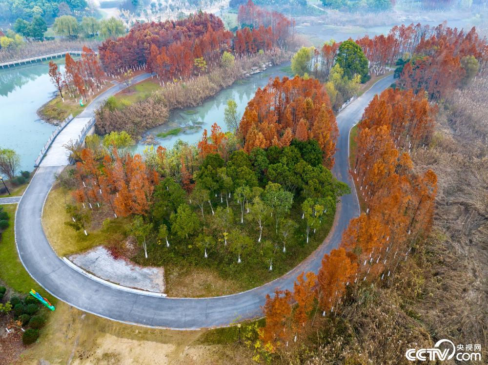 江苏淮安：古淮河湿地公园色彩斑斓 碧水上