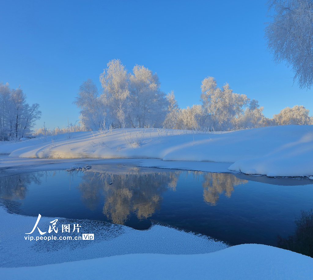 新疆哈巴河：白桦林国家森林公园出现雾凇美景【5】