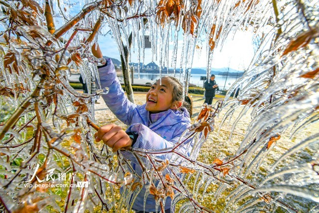 浙江淳安：千岛湖畔出现冰凌景观