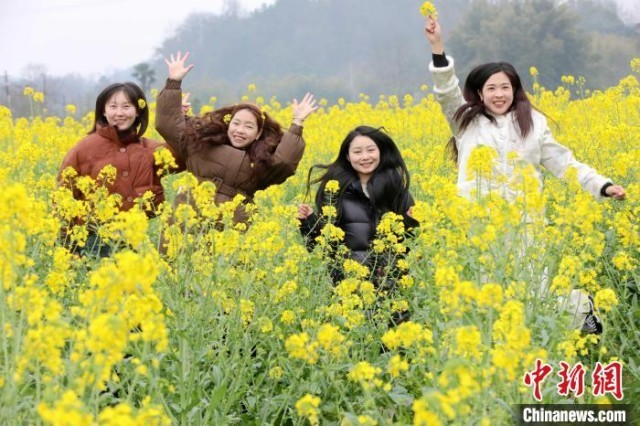 广西三江：油菜花开春意浓 田园风光引客来
