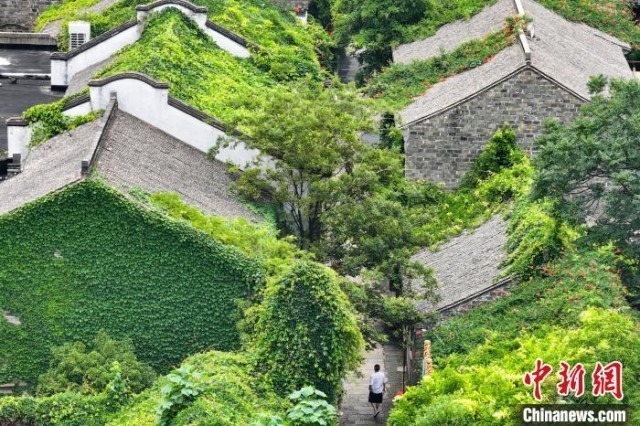 南京城南古建筑“披”绿衣夏意浓